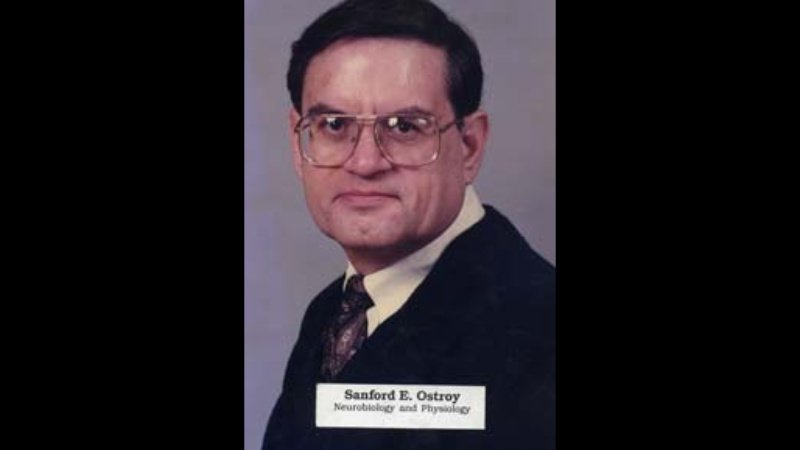 Sanford Ostroy