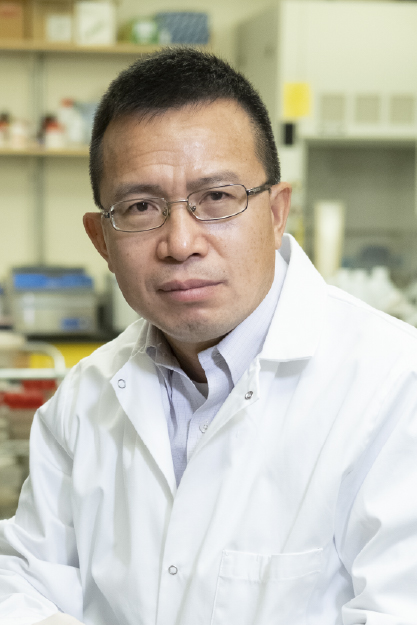 Zhao-Qing Luo