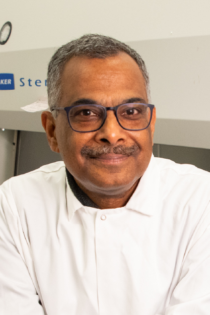 Ramaswamy Subramanian
