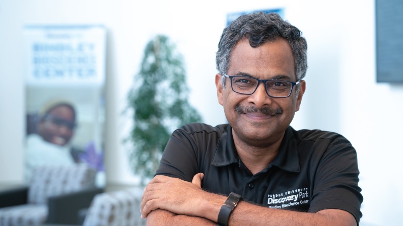 Ramaswamy Subramanian