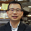 Dr. Jianguo Mei